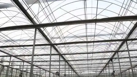 Tienda de campaña para cultivo de plantas de invernadero hidropónico en interiores